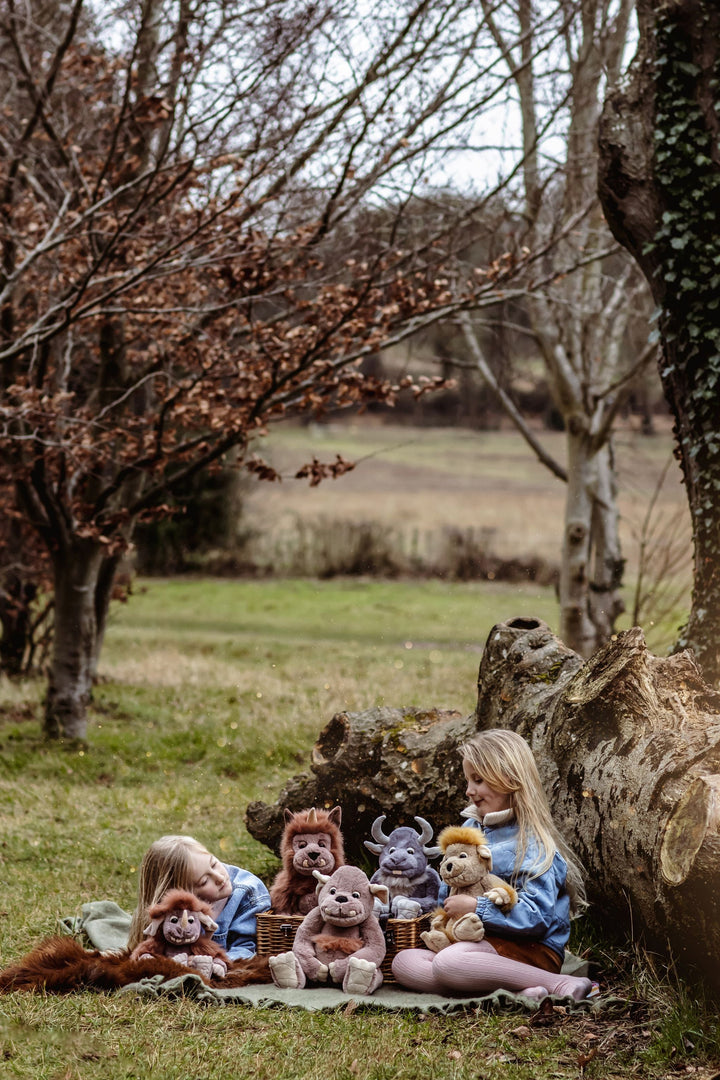 Boulder giant plush and friends outdoor family photo