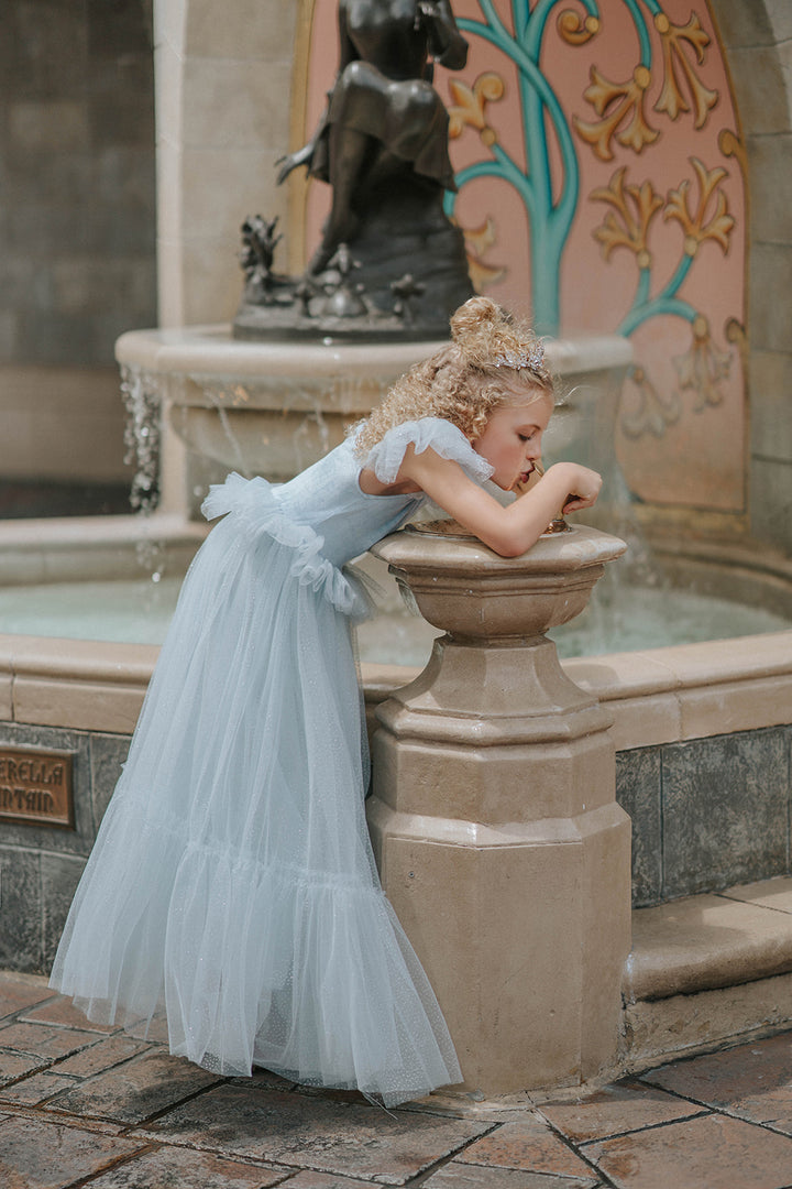 blue-velvet-princess-dress