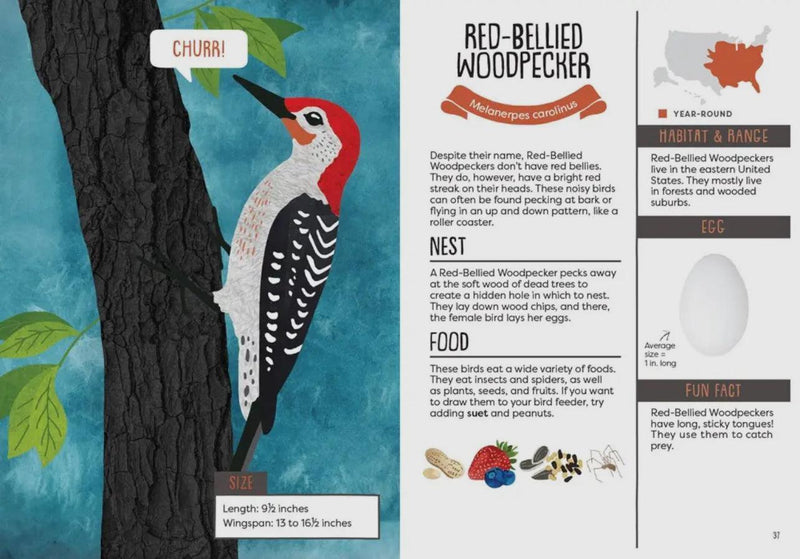 Kid’s Guide to Backyard Birds – A Fun & Educational Birdwatching Book