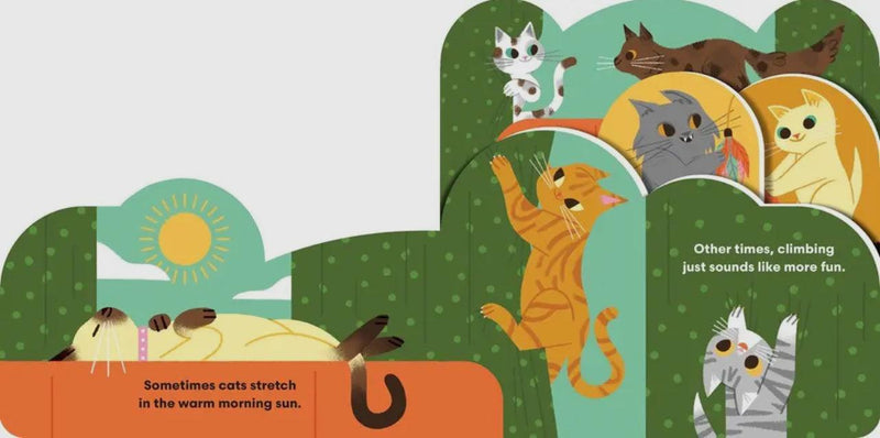 Some Cats: A Playful Celebration of Feline Friends – Board Book