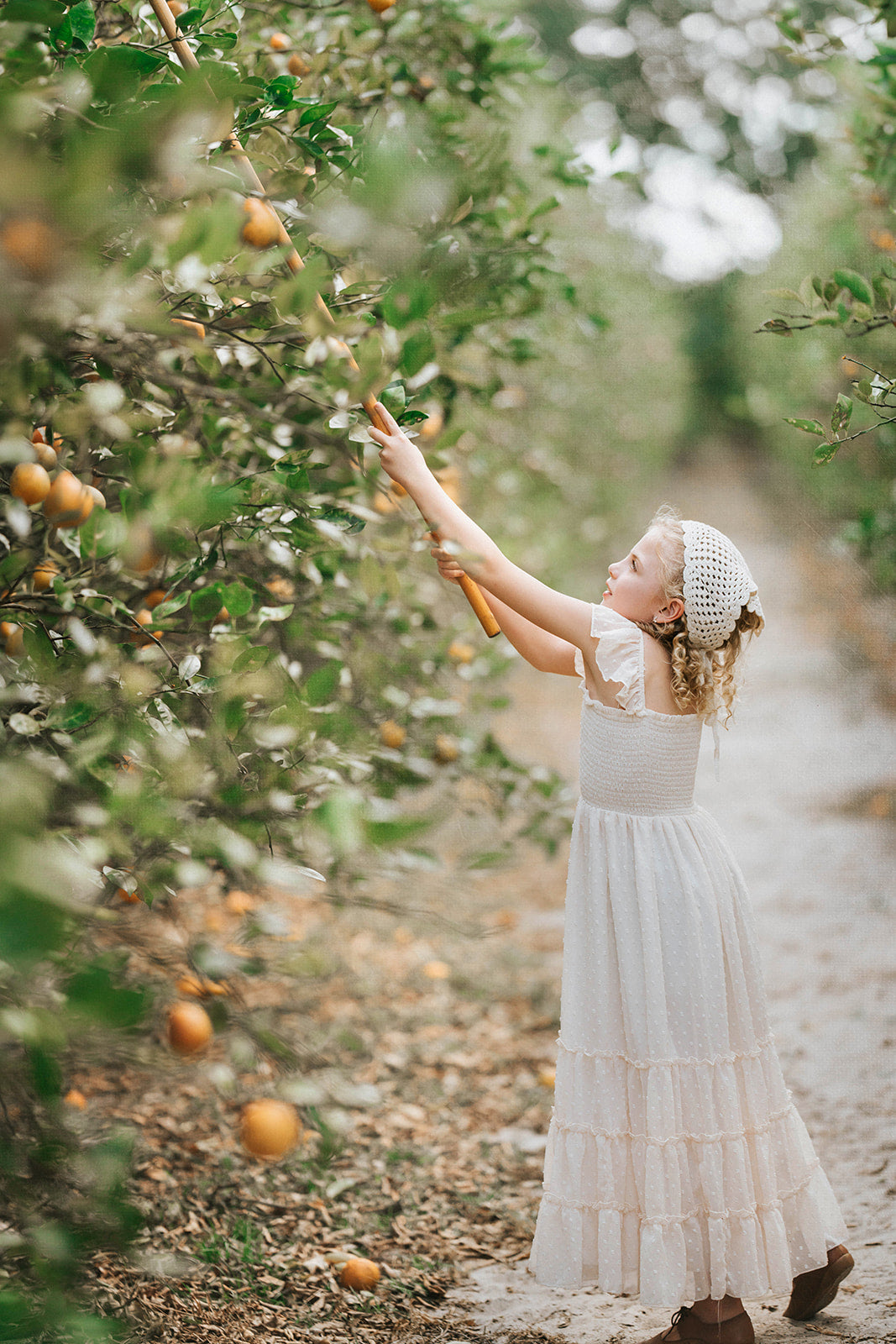 Girl reaching toward orchard branches while wearing the Citrus Cream Orchard Dress in warm natural light